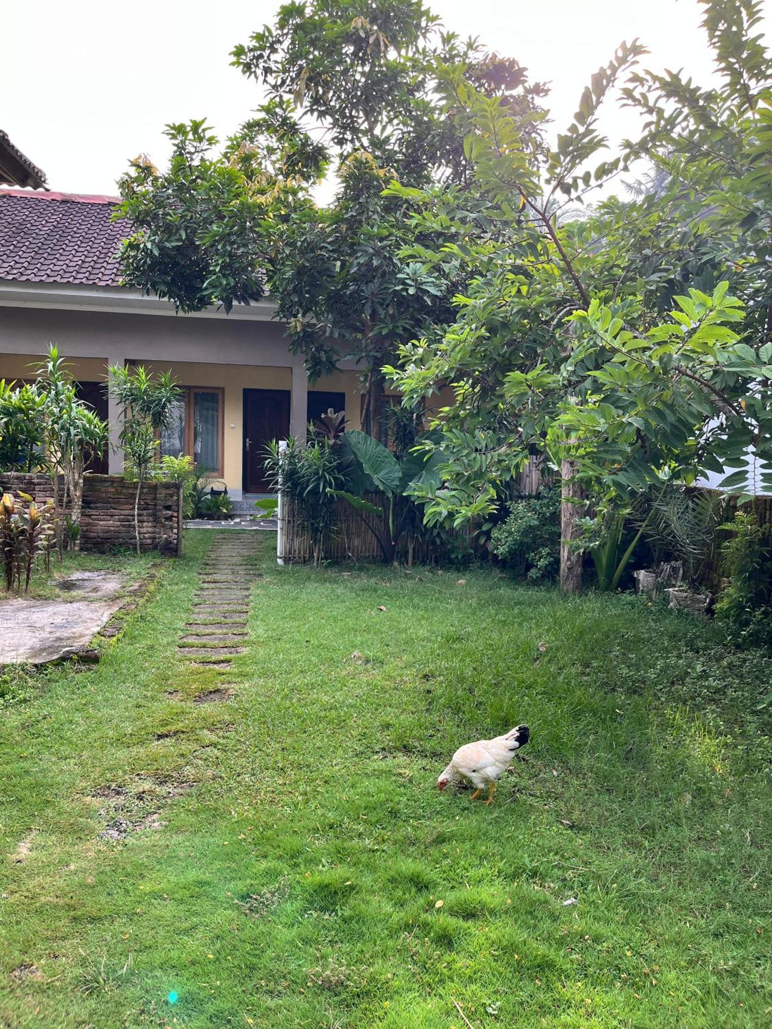 Honey Home Kuta  Exterior foto