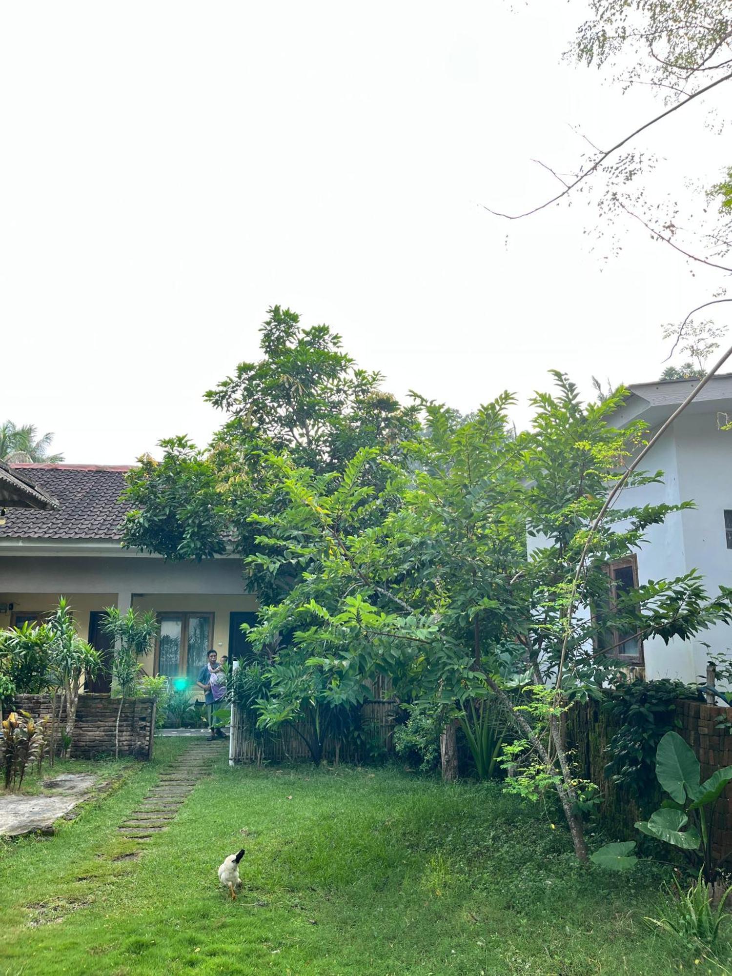 Honey Home Kuta  Exterior foto